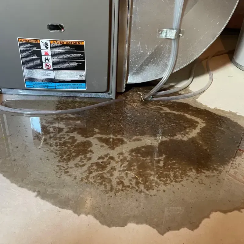 Appliance Leak Cleanup in North Slope Borough, AK